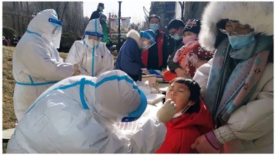 大力士 生物質燃燒器