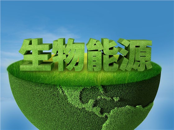 大力士生物質(zhì)燃燒機