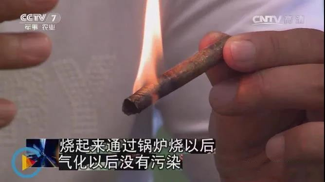 生物質(zhì)能源將來的能源主力，不應(yīng)該隨意燃燒秸稈