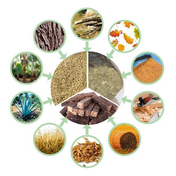 2021生物質(zhì)能源的現(xiàn)狀和能源應用發(fā)展前景