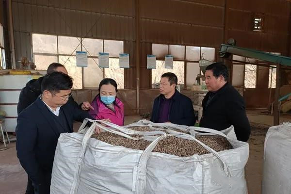 黃岡市能源辦調研英山農(nóng)村能源、農(nóng)作物秸稈綜合利用