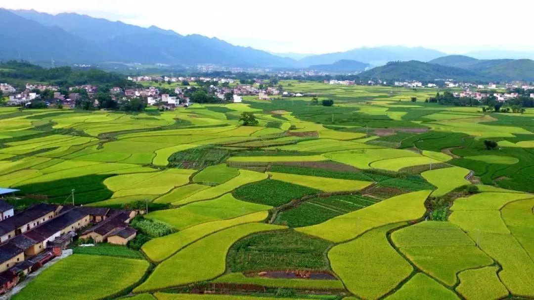 農(nóng)業(yè)農(nóng)村部2021鄉(xiāng)村振興工作要點一覽（二）