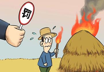 秸稈焚燒“這把火”為何難滅？