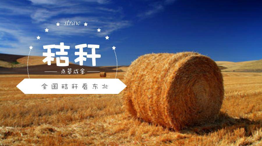 新聞聯(lián)播關注：東北秸稈該咋辦？（二）