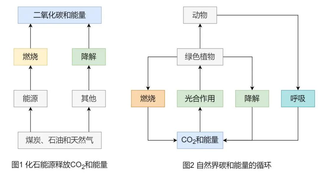漲知識(shí)了！為什么說生物質(zhì)能是“零碳”能源