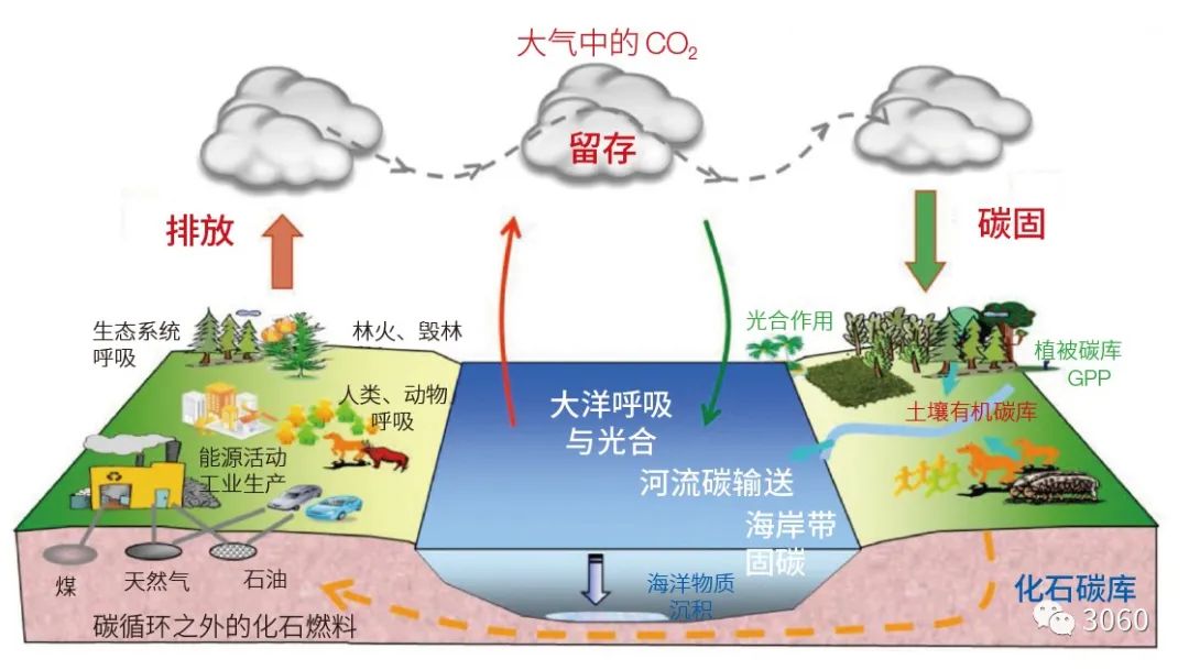 漲知識！什么是低碳、零碳、負碳技術(shù)（一）