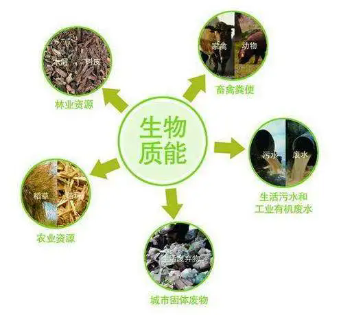 【政策】2000億！陜西將穩(wěn)步拓展生物能源產(chǎn)業(yè)