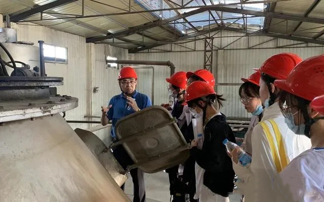 生物質難以擔當能源重任?補貼“退場”中的技術突圍（一）
