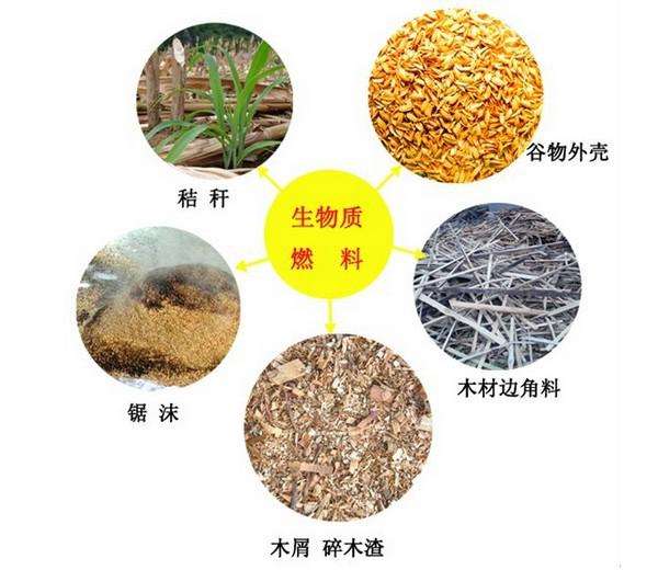 確認(rèn)過眼神，生物質(zhì)遇上“對的人”